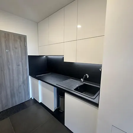 Apartmán Light Near Center With Easy Transport Access